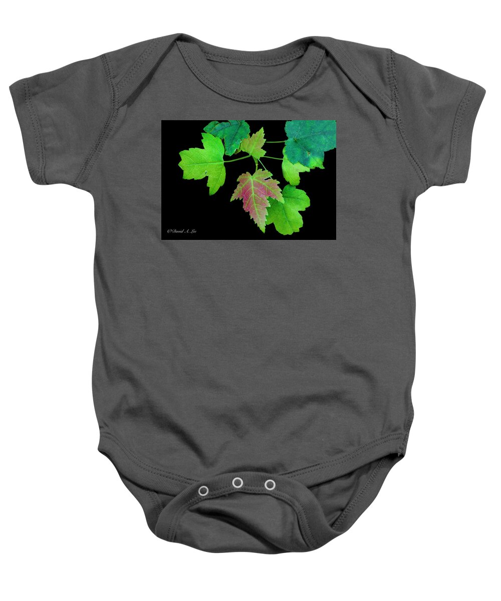 Tree Baby Onesie featuring the photograph Maple Leaves by David Lee