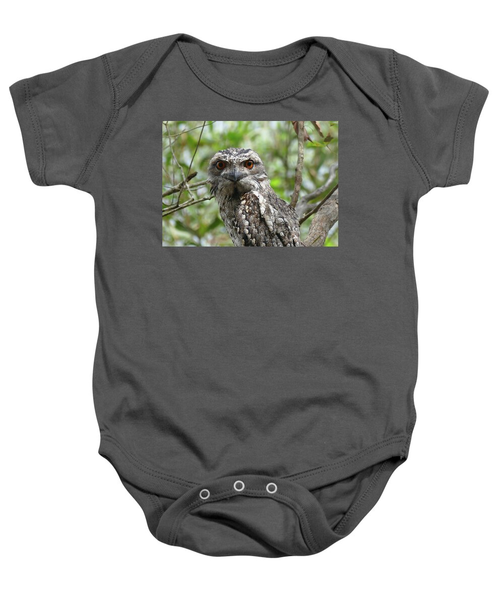Animals Baby Onesie featuring the photograph Marbled Frogmouth Stare by Maryse Jansen
