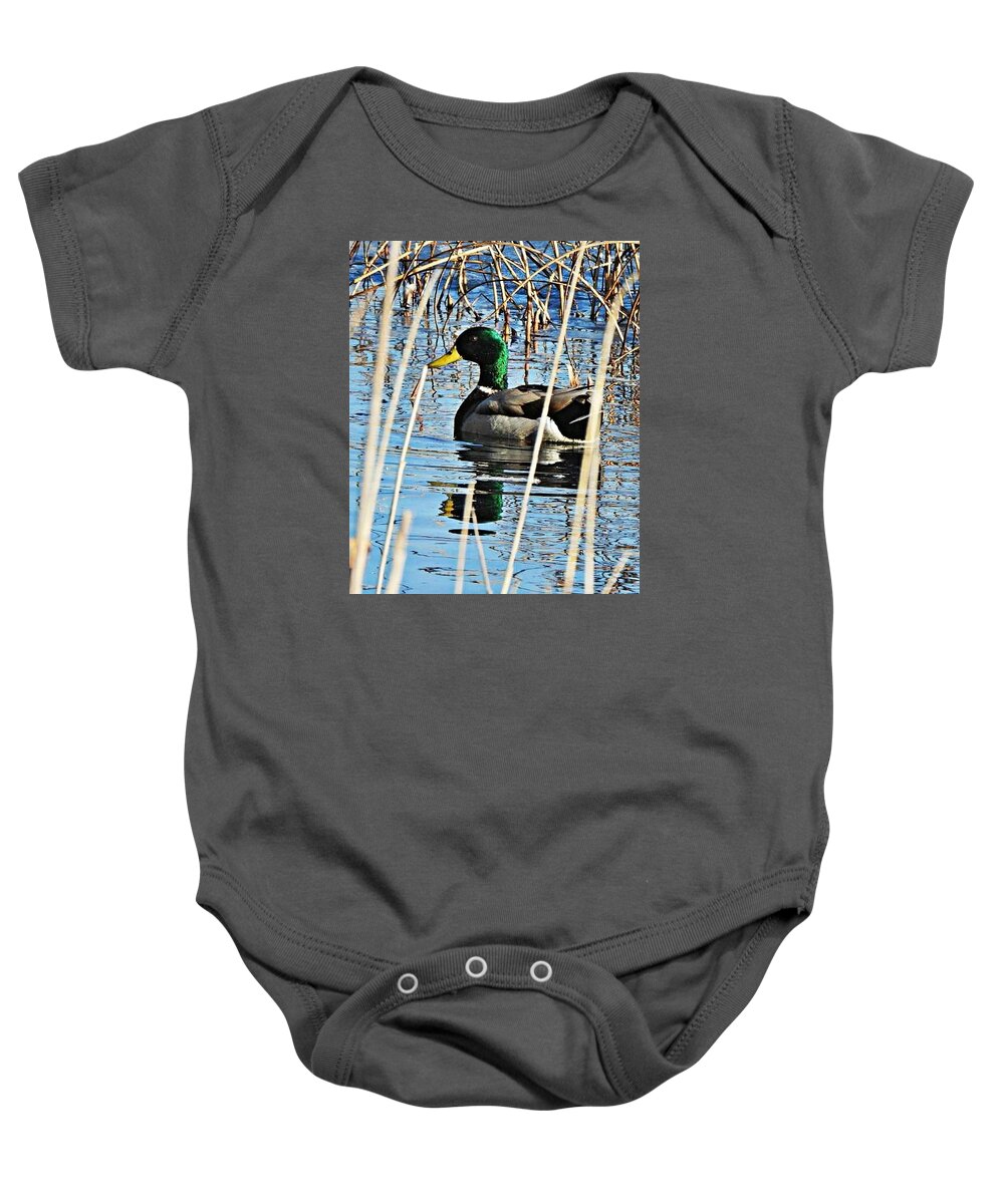 Duck Baby Onesie featuring the photograph March Mallard by Judy Stepanian