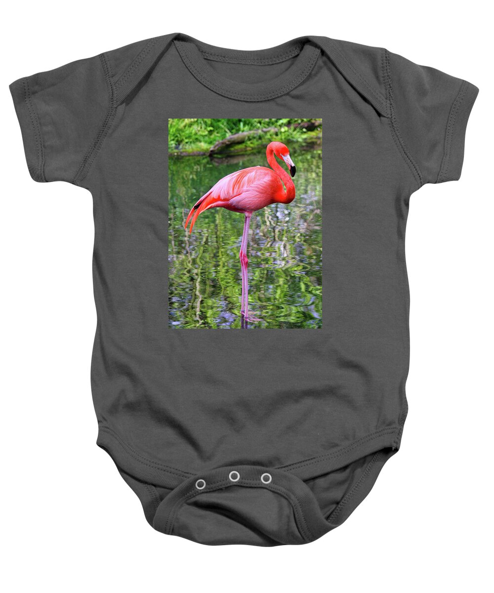 Pink Baby Onesie featuring the photograph Mister Pink Taking A Dip by Scott Burd