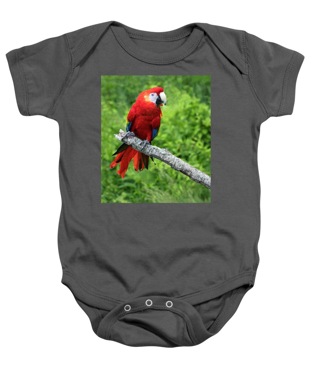 Parrot Baby Onesie featuring the photograph Mom by Art Cole