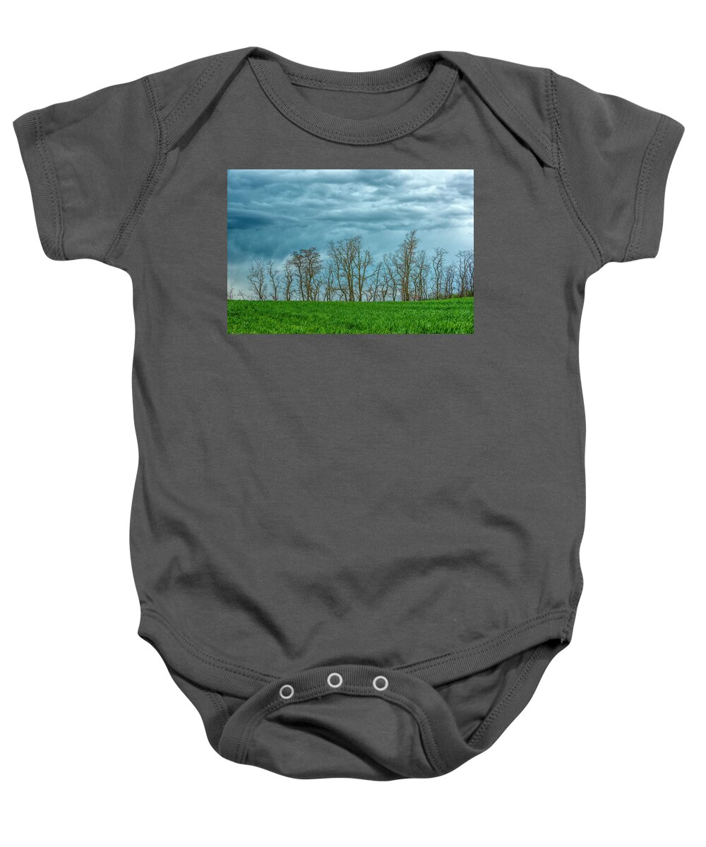 Stroms Baby Onesie featuring the photograph Moody Blues by Pamela Dunn-Parrish