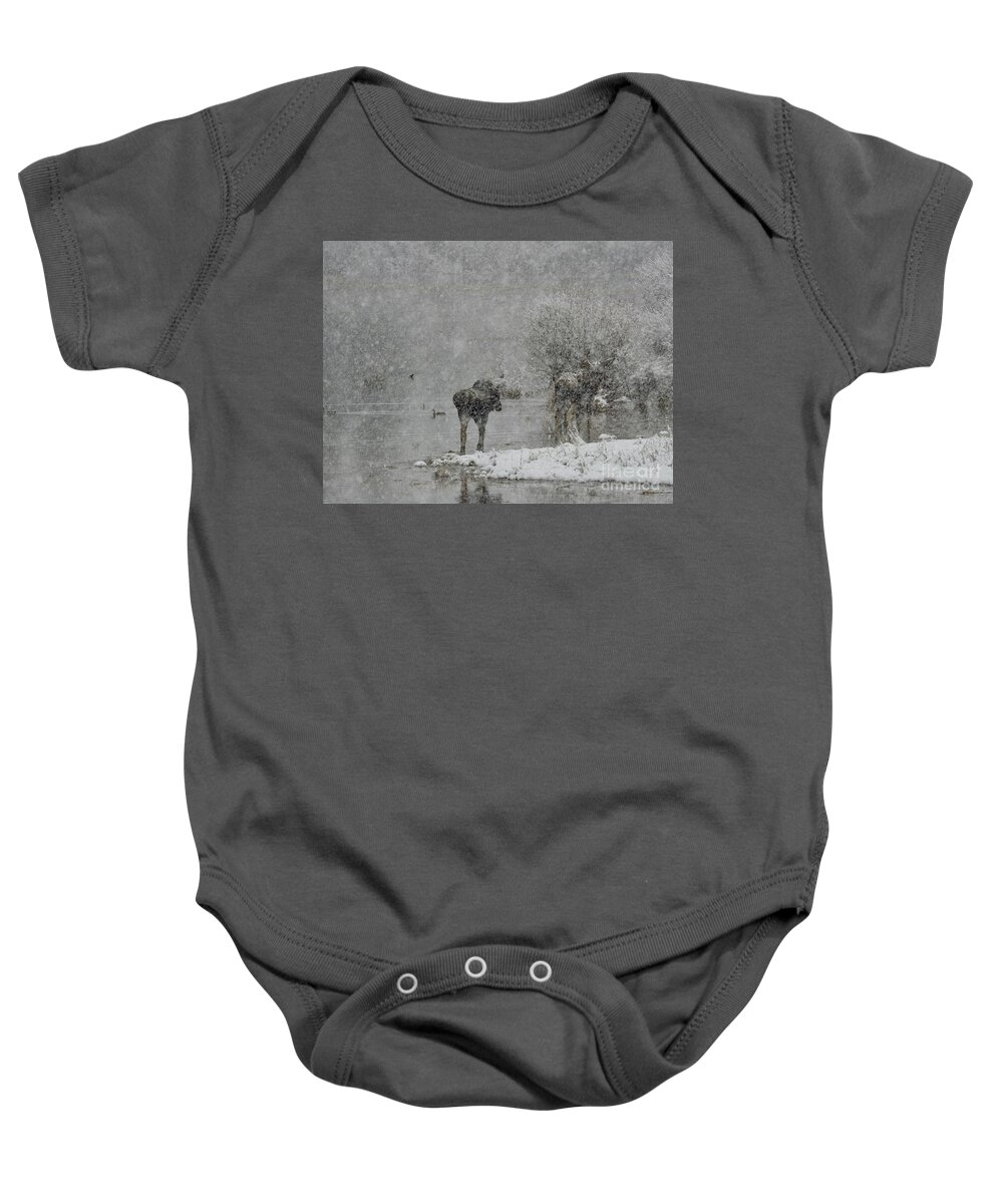 Moose Baby Onesie featuring the photograph Moose and Mallard by Nicola Finch