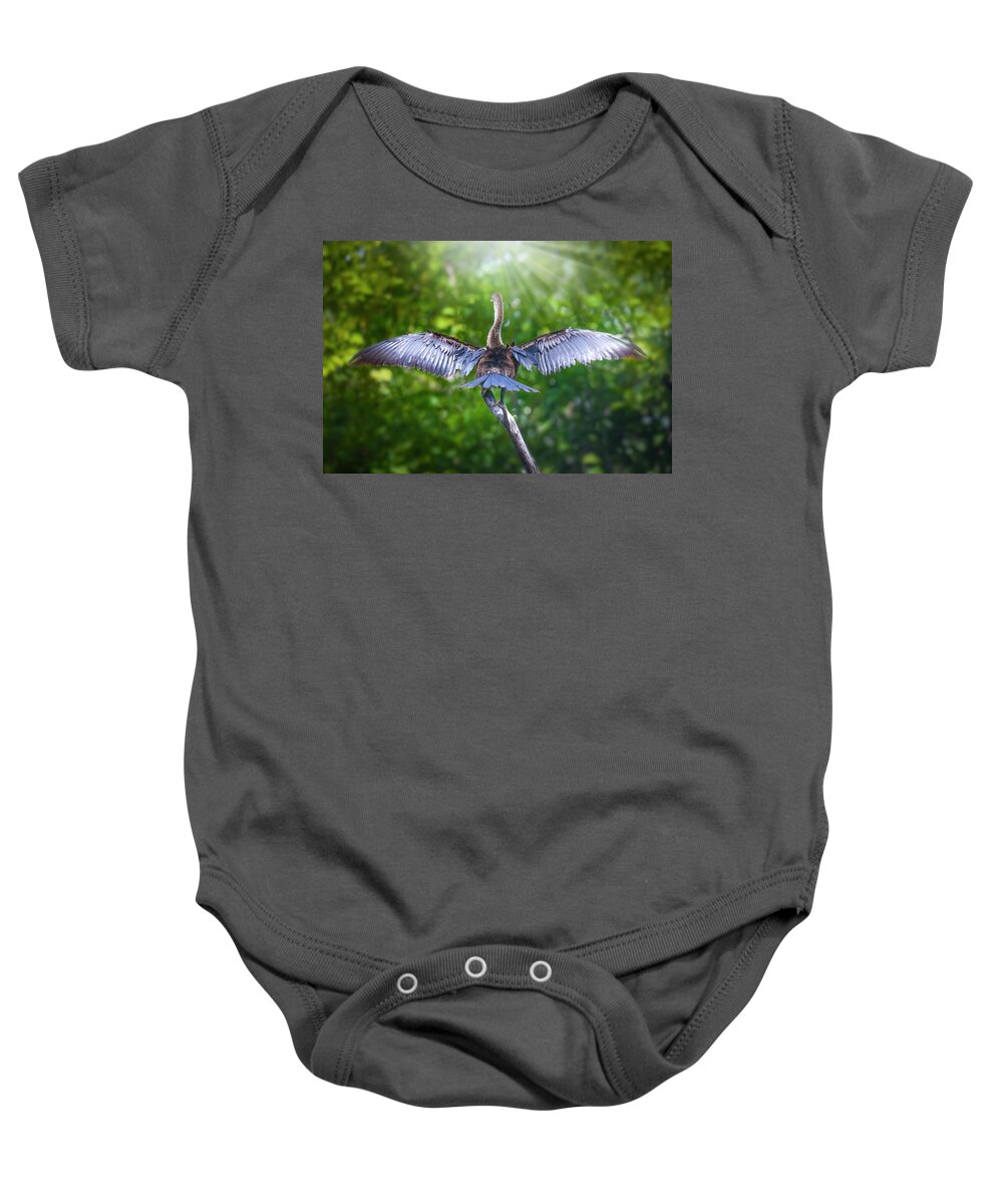 Anhinga Baby Onesie featuring the photograph Morning Meditation by Mark Andrew Thomas
