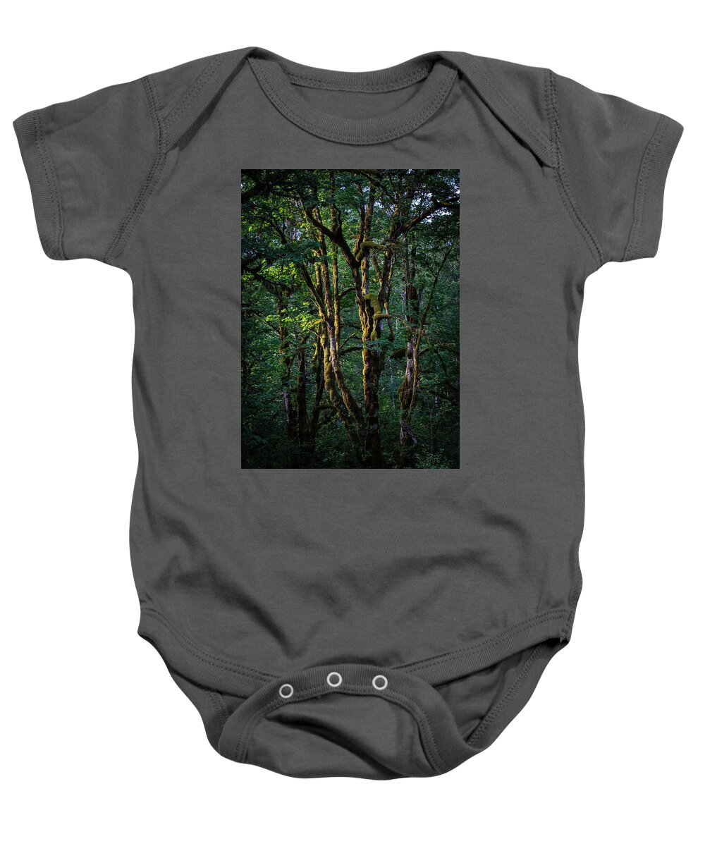Cascades Baby Onesie featuring the photograph Mossy Trees in Morning Light by Norman Reid