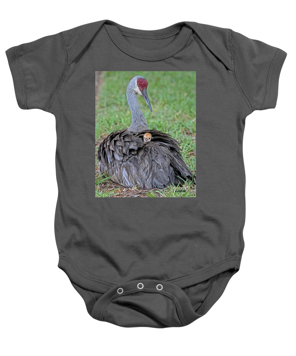 Sandhill Crane Baby Onesie featuring the digital art MOTHER SANDHILL CRANE AND CHICK cps by Larry Linton