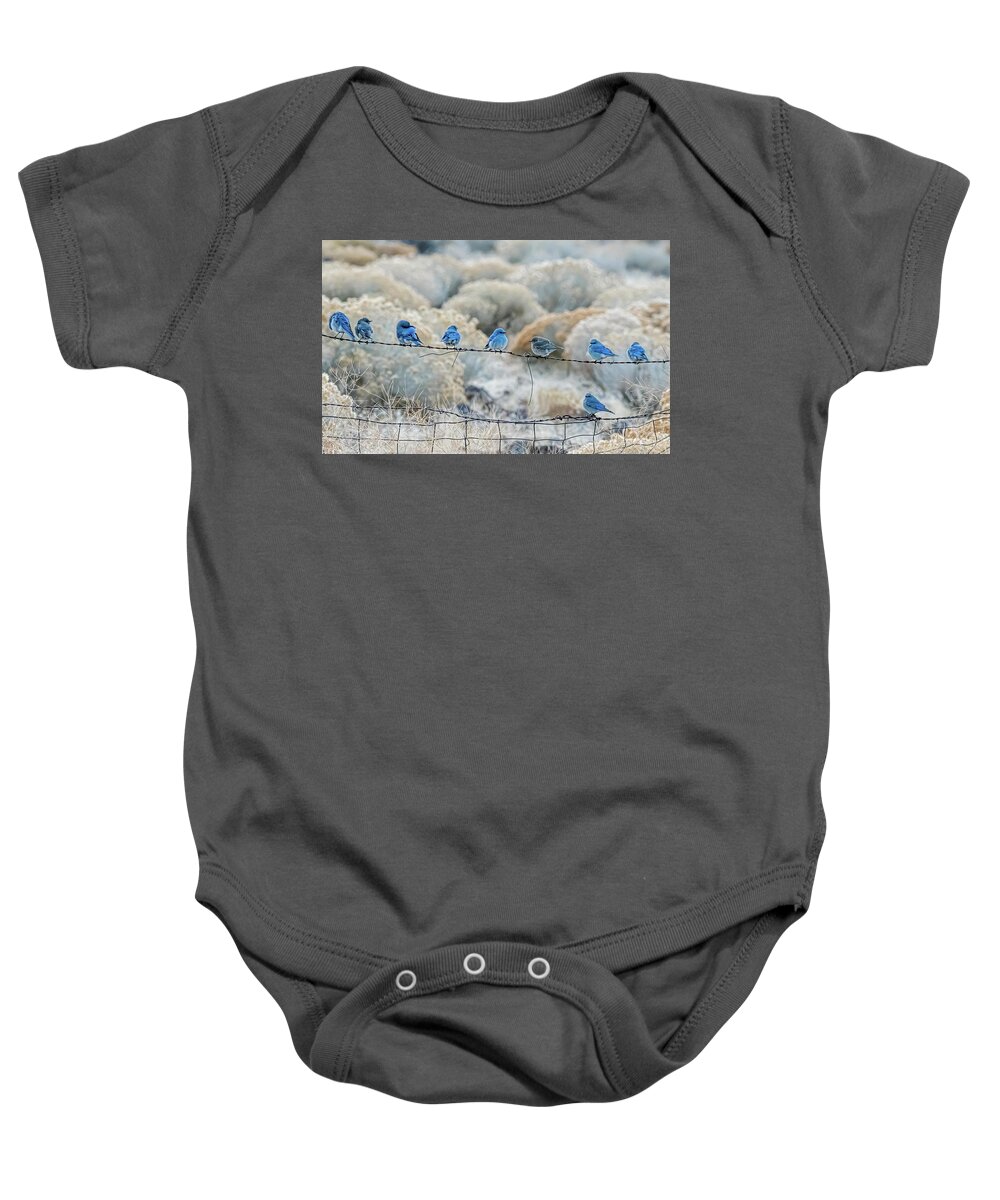 Mountain Bluebird Baby Onesie featuring the photograph Mountain Bluebirds 6 by Rick Mosher