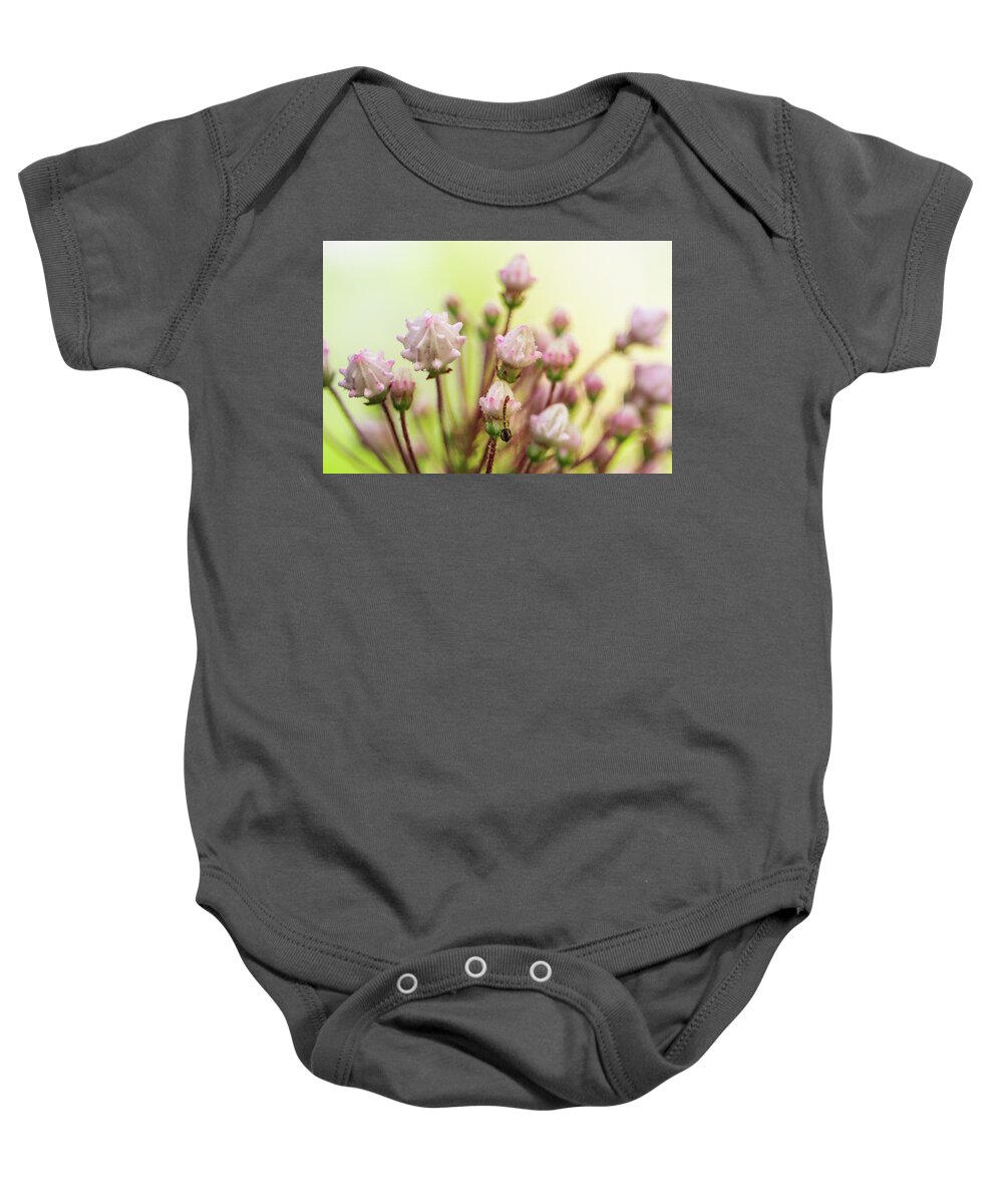 Mcdowell County Baby Onesie featuring the photograph Mountain Laurel Buds by Joni Eskridge