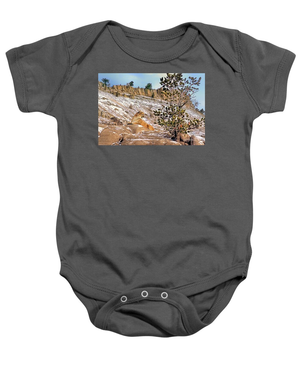 Mountain Lion Baby Onesie featuring the photograph Mountain Lion On Snow Covered Hillside by Dave Welling