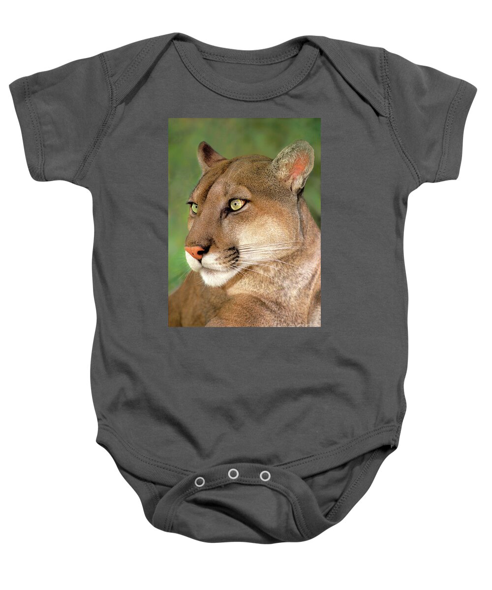 Mountain Lion Baby Onesie featuring the photograph Mountain Lion Portrait Wildlife Rescue by Dave Welling
