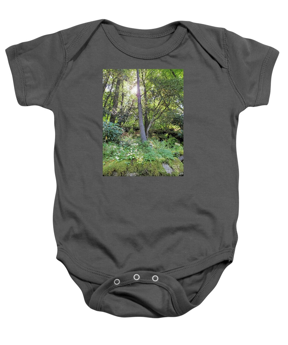 Landscape Baby Onesie featuring the photograph Mountainside Morning by Sharon Williams Eng