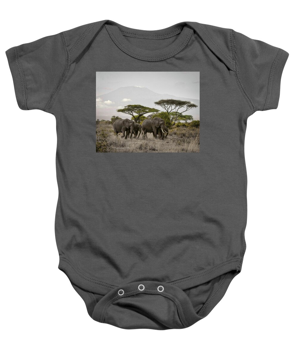 Moving Elephants Baby Onesie featuring the photograph Moving Elephants by Gene Taylor