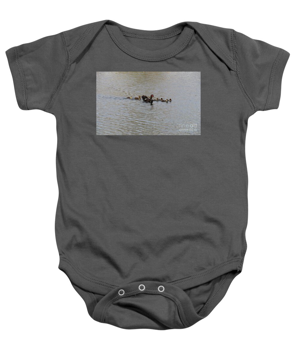 Anhinga Baby Onesie featuring the photograph Muscovey Duck With Young Ducklings by Philip And Robbie Bracco