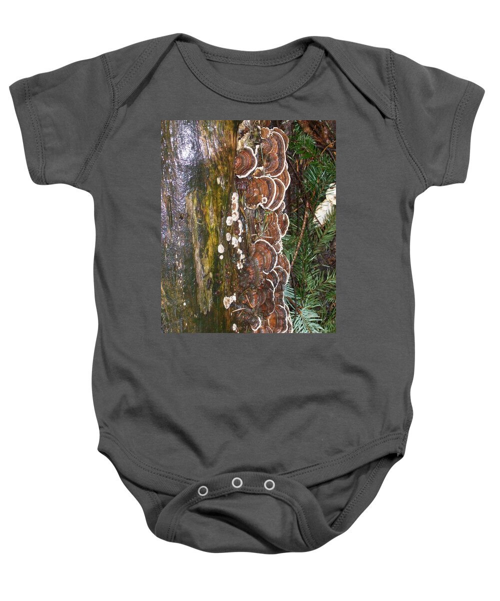 East Baby Onesie featuring the photograph Mushrooms by Mary Mikawoz