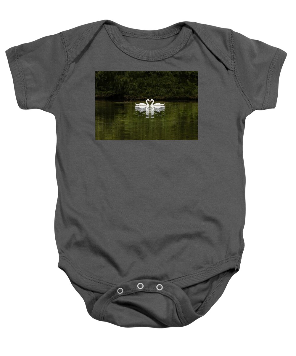 Swans Baby Onesie featuring the photograph Mute Swans by Jim Dollar