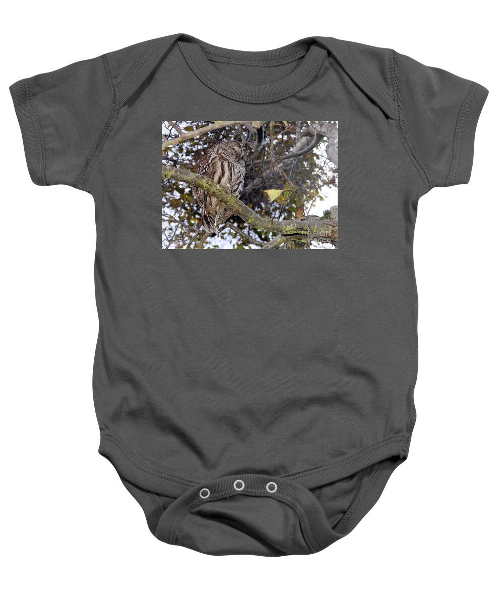 Owl Baby Onesie featuring the photograph Napping Sage by Kimberly Furey
