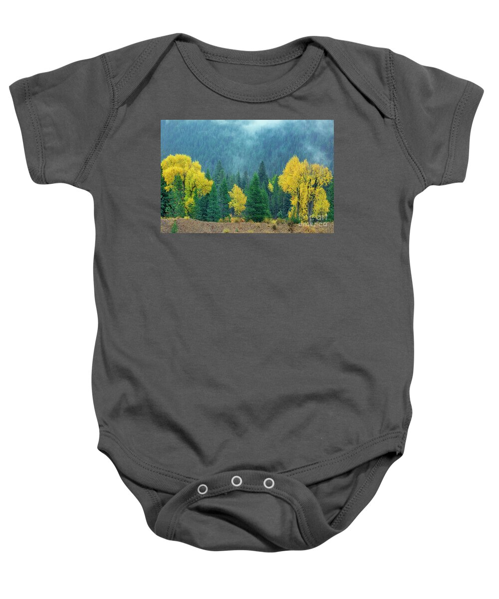 Dave Welling Baby Onesie featuring the photograph Narrowleaf Cottonwoods And Blur Spruce Trees In Grand Tetons by Dave Welling