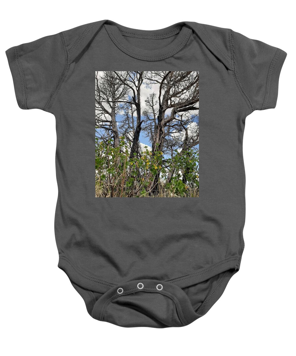 Burn Baby Onesie featuring the photograph New Growth by Burned Juniper by Amanda R Wright