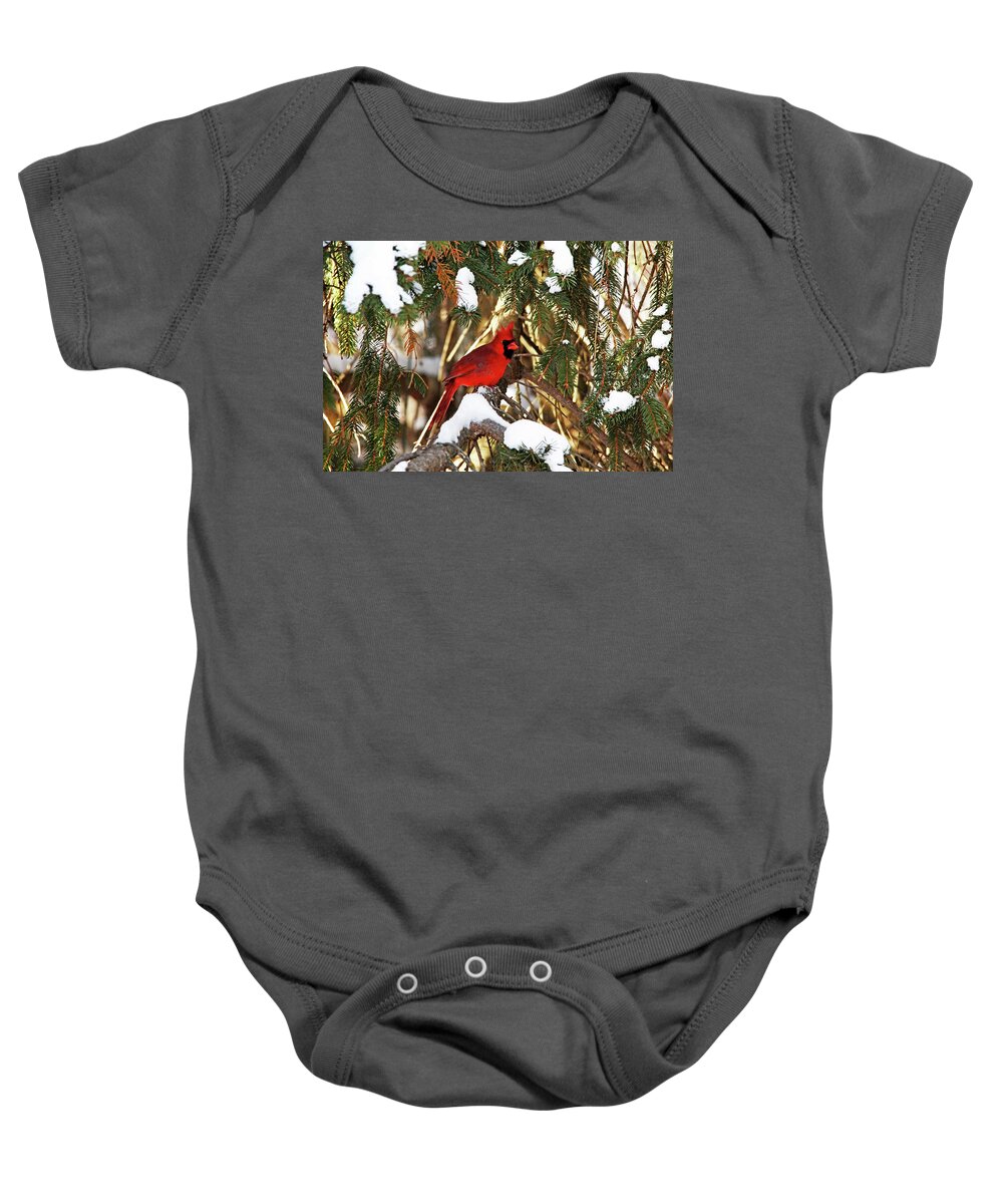 Northern Red Cardinal Baby Onesie featuring the photograph Northern Cardinal In Winter by Debbie Oppermann