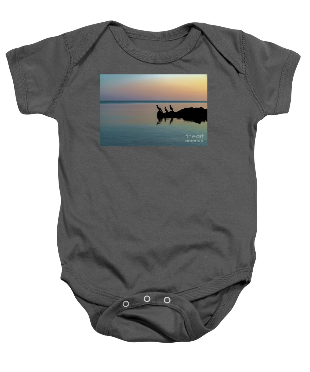 Birds Baby Onesie featuring the photograph On the lookout by Daniel M Walsh