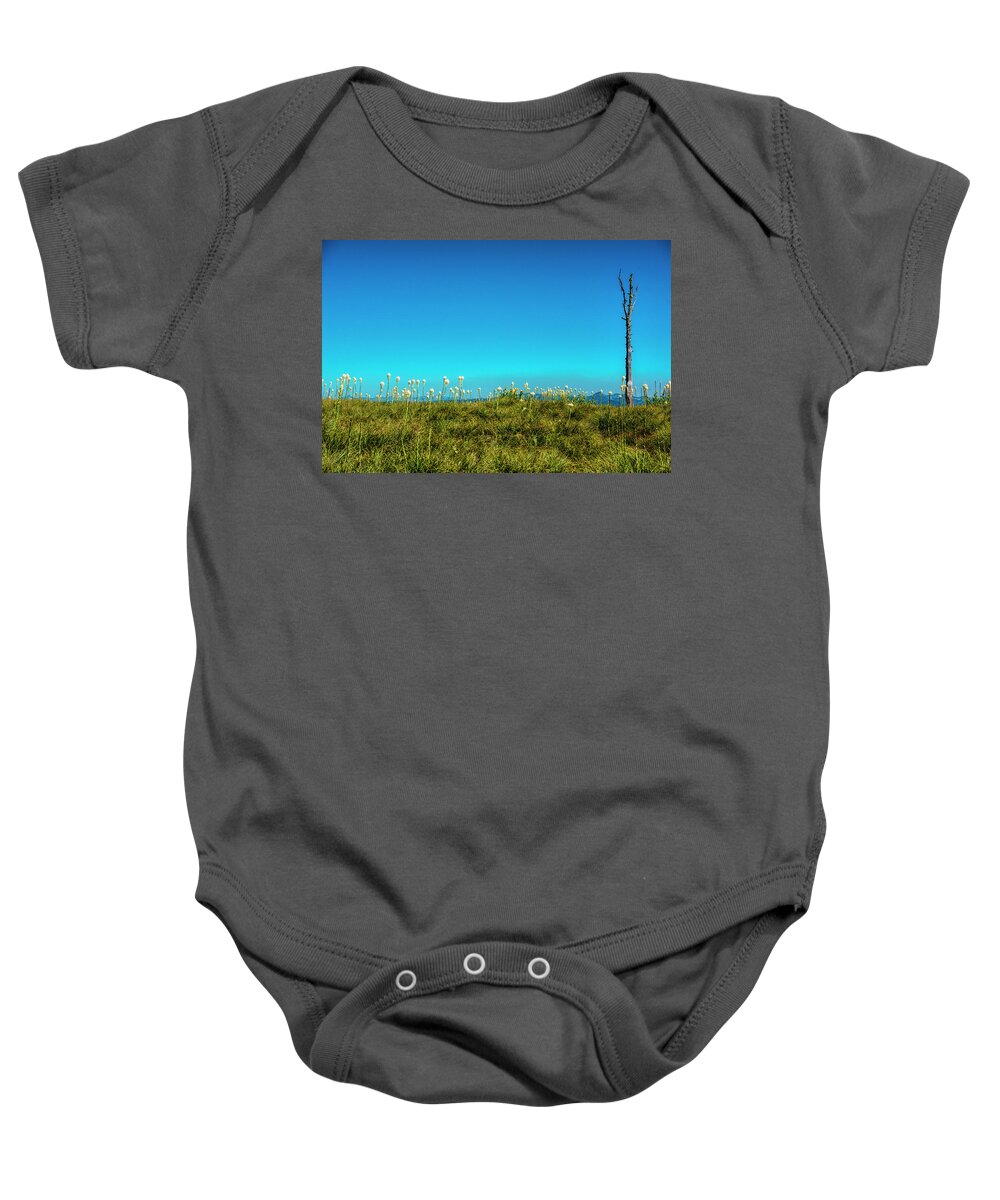 Bare Baby Onesie featuring the photograph On Top Of The Mountain by Pamela Dunn-Parrish