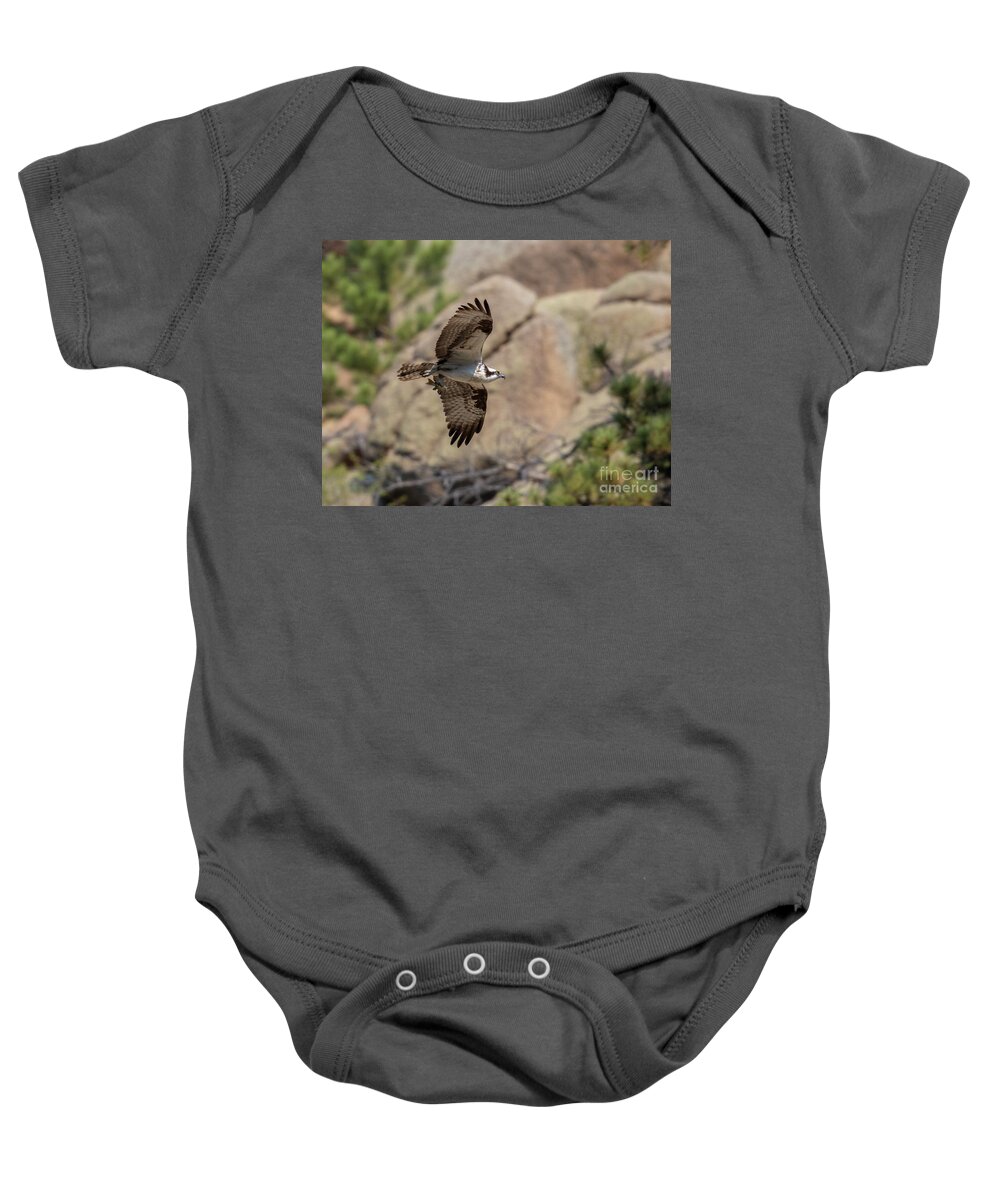 Osprey Baby Onesie featuring the photograph Osprey in Flight by Cliff by Steven Krull