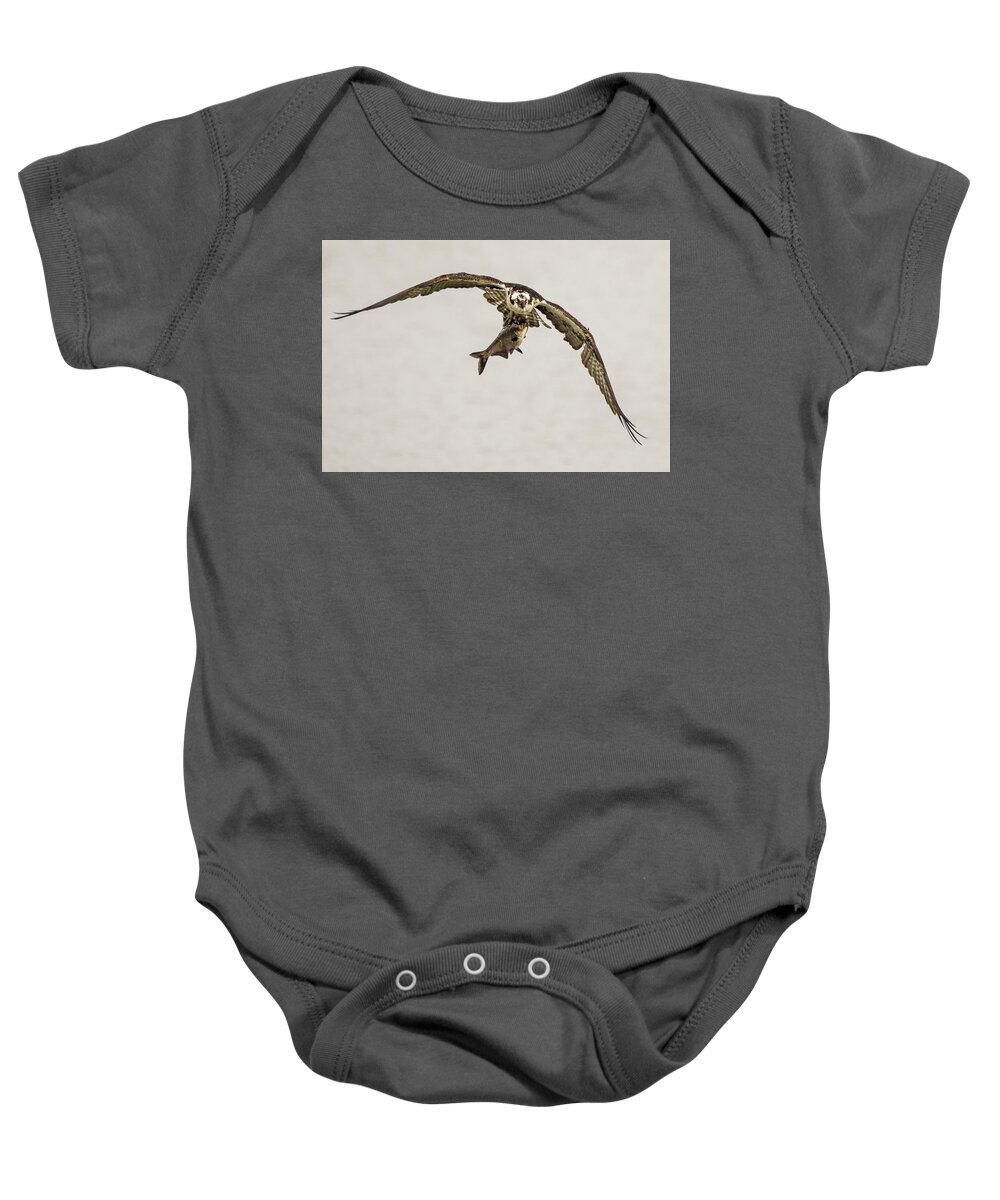 Predators Baby Onesie featuring the photograph Osprey with Lunch by Jeffrey Perkins
