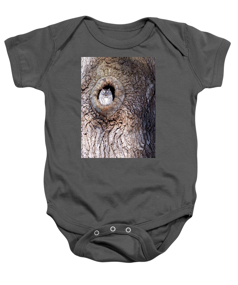 Owl Baby Onesie featuring the photograph Owl Roosting by Flinn Hackett