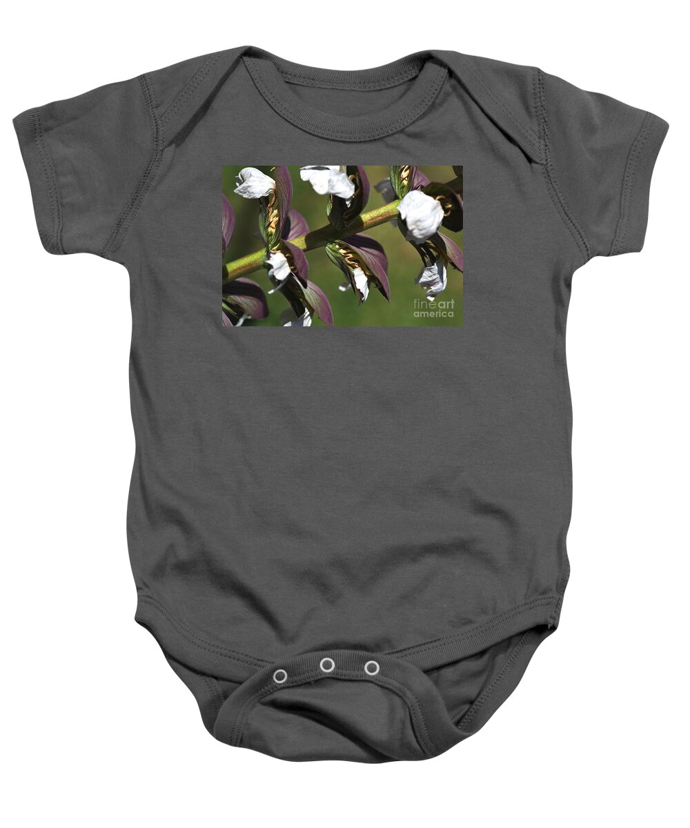 Oyster Plant Baby Onesie featuring the photograph Oyster Plant In Bloom by Joy Watson