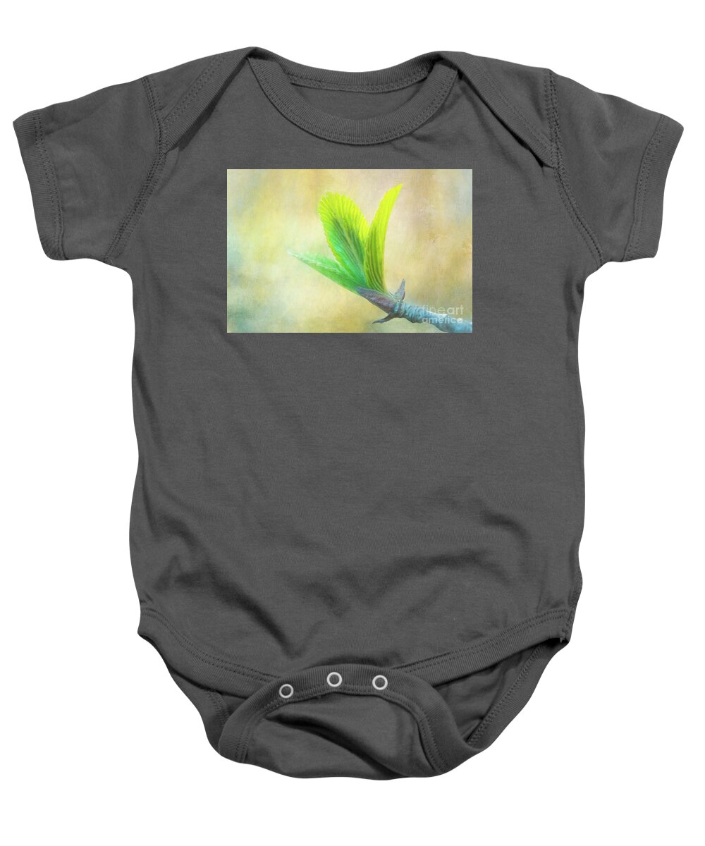 Siebold Viburnum Baby Onesie featuring the photograph Painted Baby Viburnum Leaves by Anita Pollak