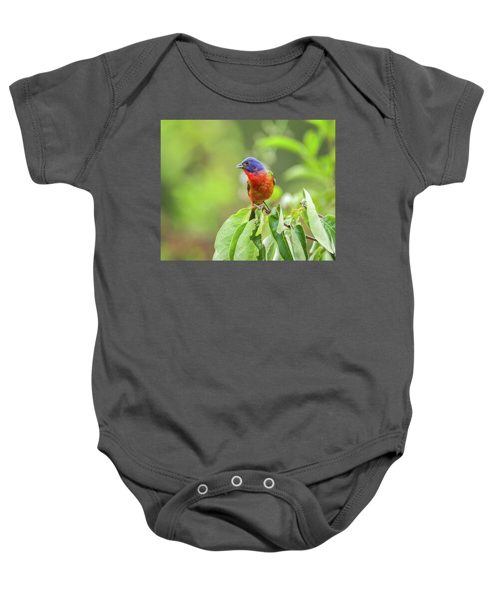 Arkansas Baby Onesie featuring the photograph Painted Bunting - 1793 by Jerry Owens