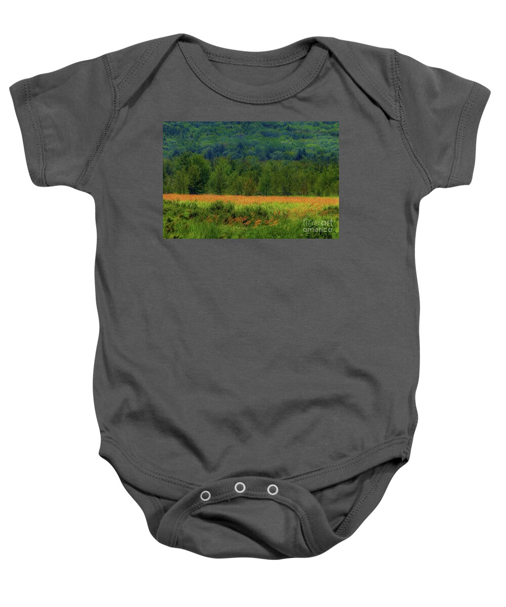 Acadia National Park Baby Onesie featuring the digital art Painted Meadow by Patti Powers