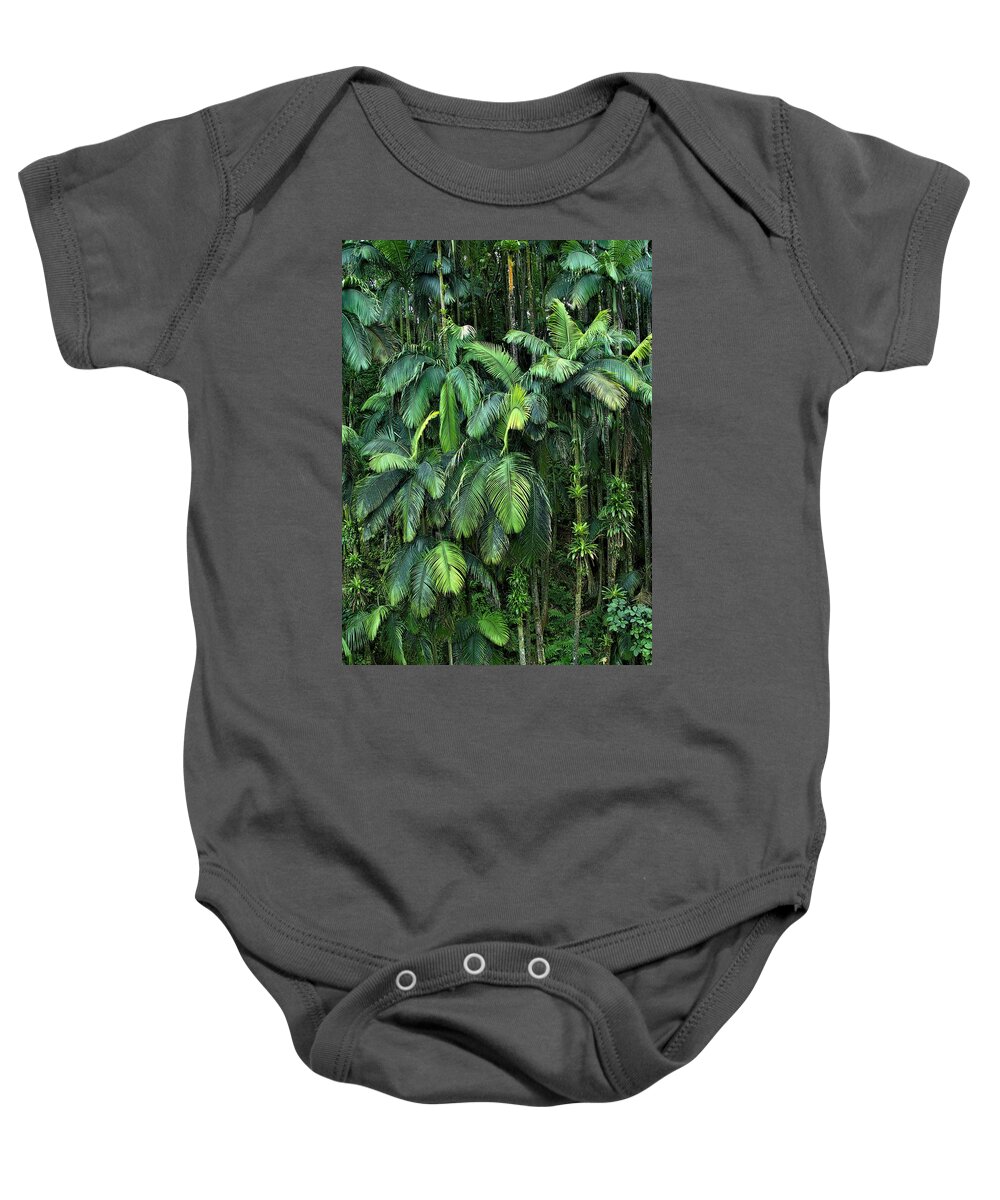 Palm Trees Baby Onesie featuring the photograph Palm Tree Forest Hawai'i Island by Heidi Fickinger