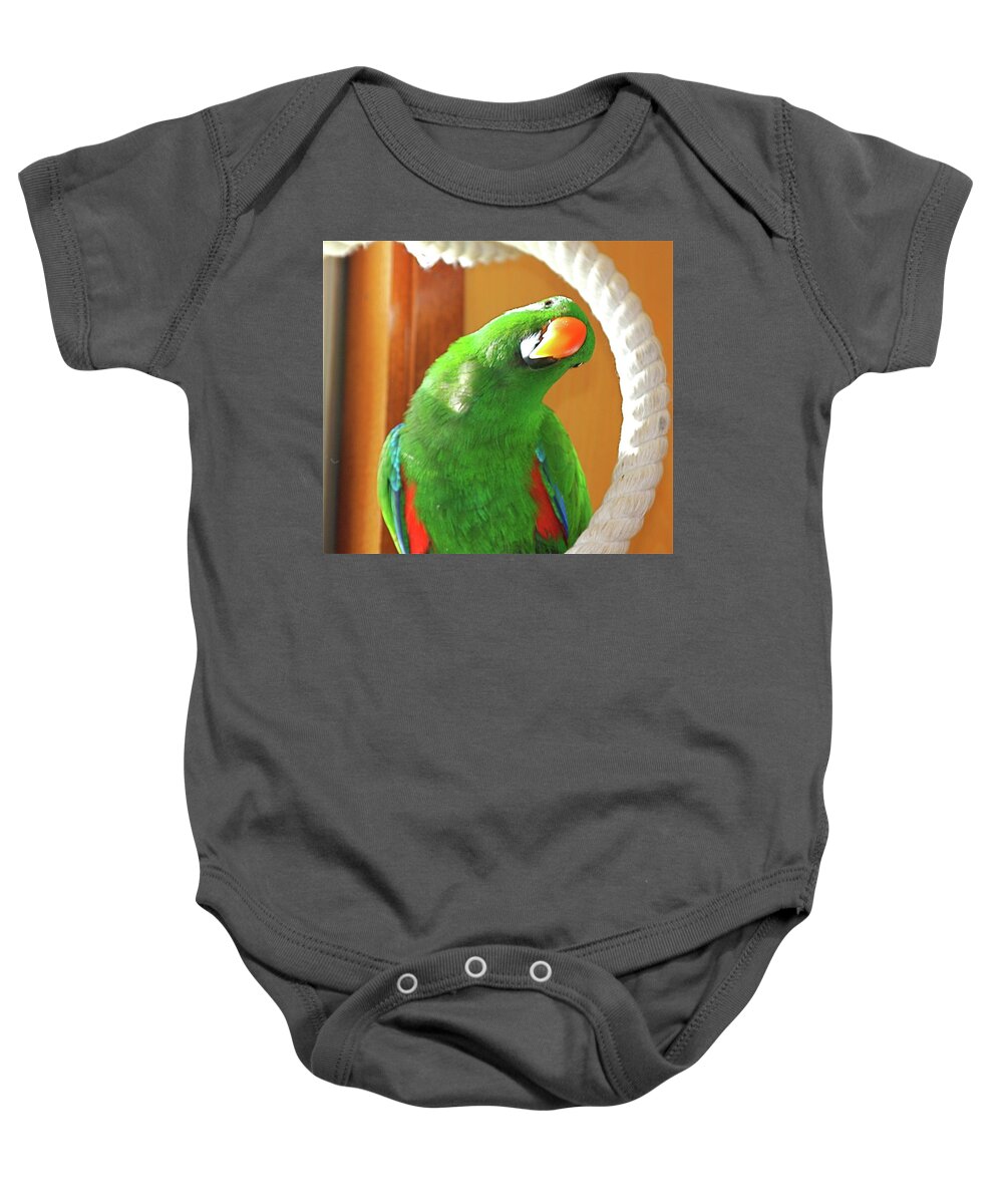 Green Parrot Fun Colorful Perch Live Parrot Bright Bold Colors Baby Onesie featuring the photograph Parrot in Holland by Dorsey Northrup