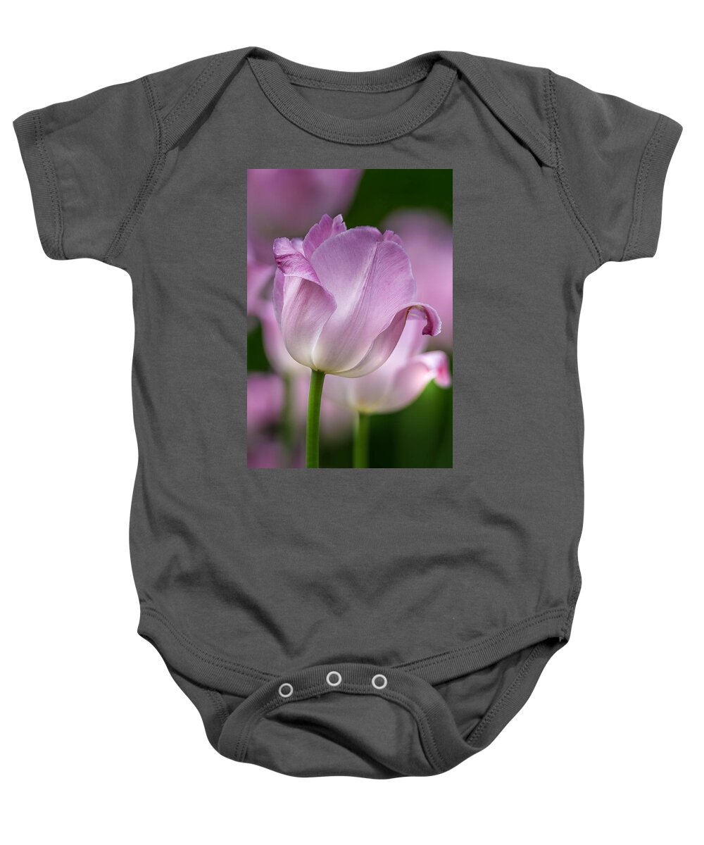 Tulip Baby Onesie featuring the photograph Passion by Susan Rydberg