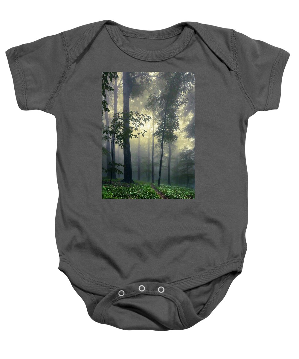 Balkan Mountains Baby Onesie featuring the photograph Path In the Mist by Evgeni Dinev