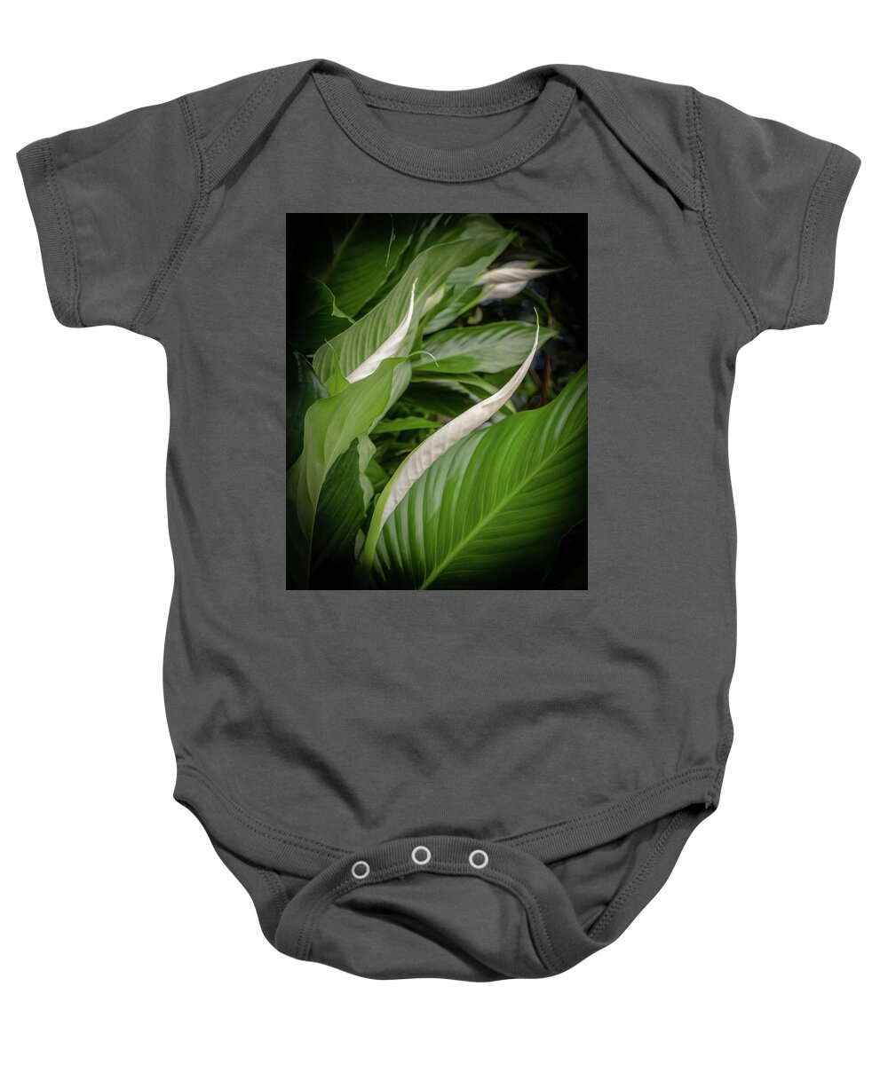 Peace Lily; Merrifield Gardens; Flower; Sympathy; Curve Baby Onesie featuring the photograph Peace Lily by Georgette Grossman