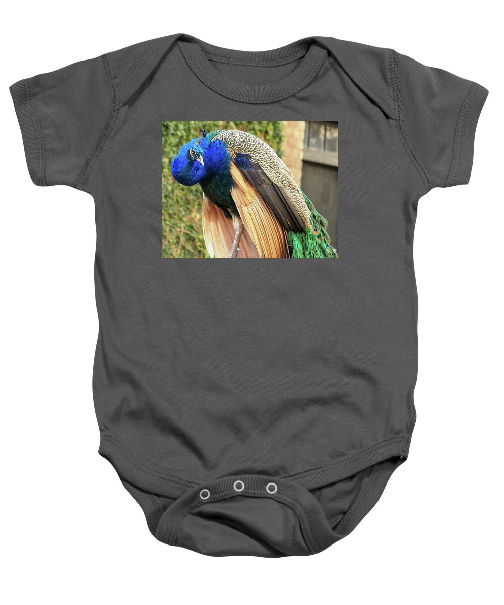 Peacock Baby Onesie featuring the photograph Peacock 3 by Cindy Robinson