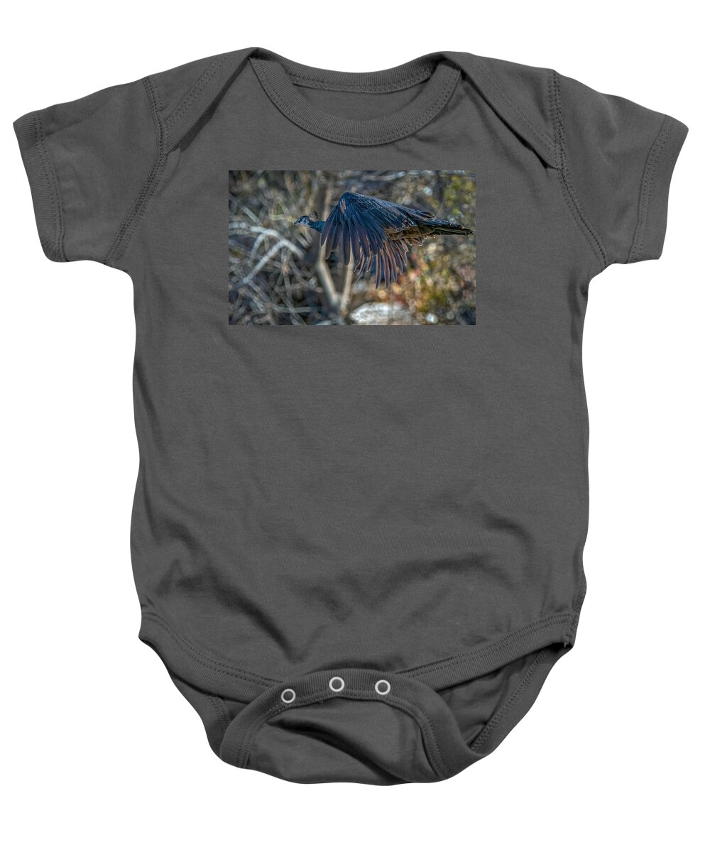 Peacock Baby Onesie featuring the photograph Peacock in flight by Rick Mosher