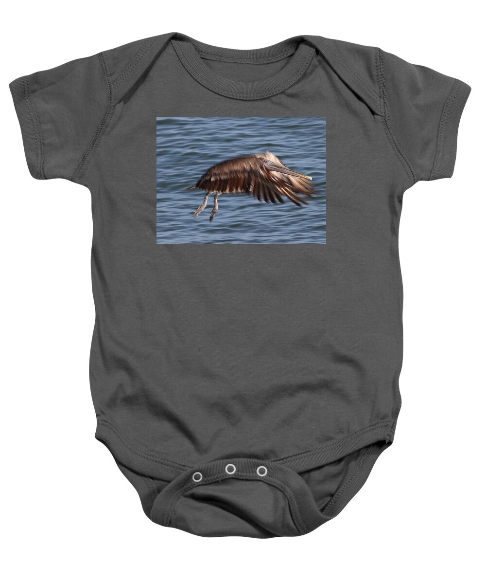 Pelicans Baby Onesie featuring the photograph Pelican in Motion by Mingming Jiang