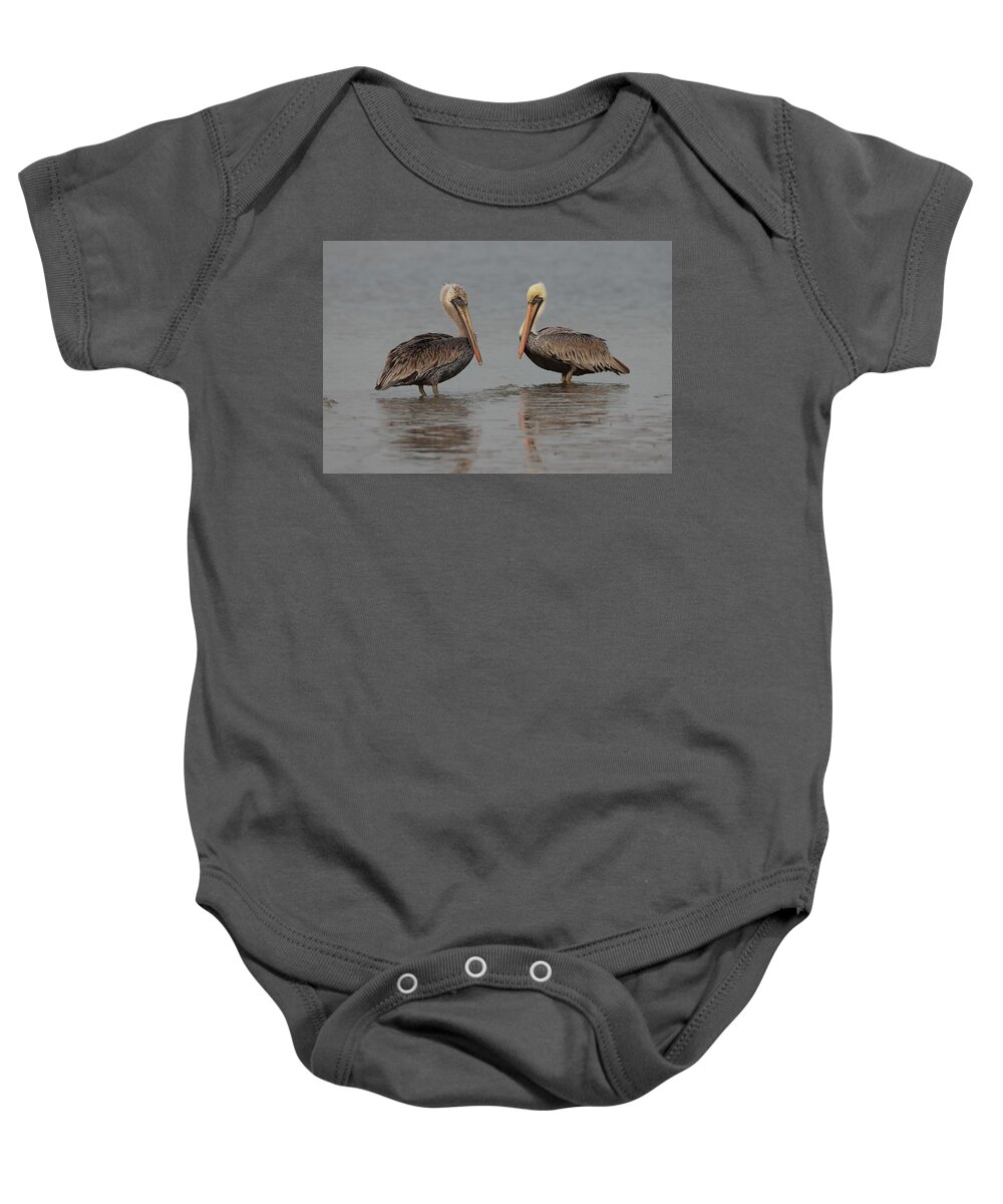 Pelicans Baby Onesie featuring the photograph Pelican Buddies by Mingming Jiang
