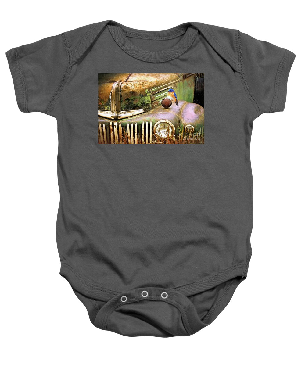  Ford Truck Baby Onesie featuring the painting Perched On The Old Ford by Tina LeCour