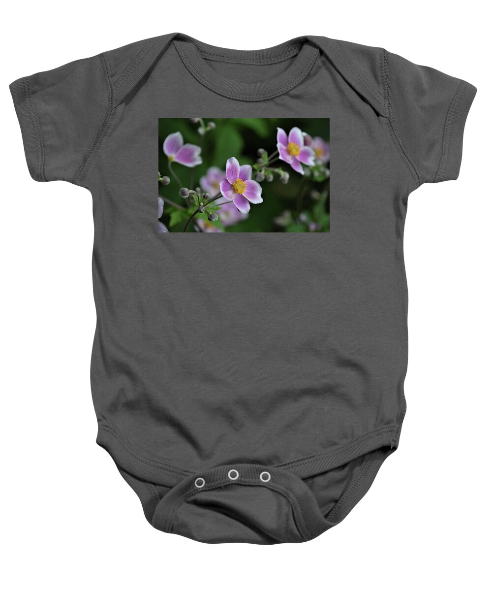 Perspective Baby Onesie featuring the photograph Perspective by Terry M Olson