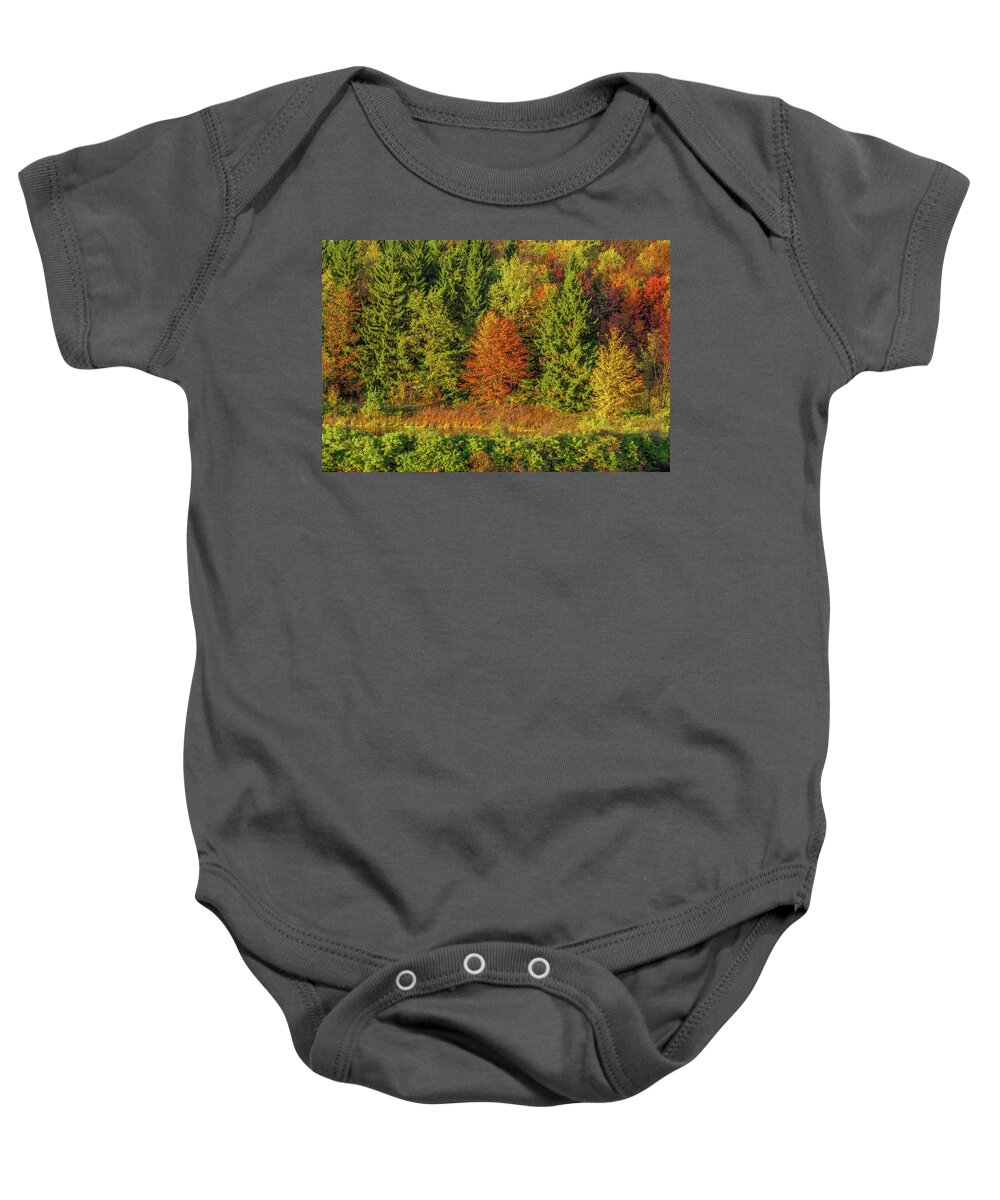 Autumn Baby Onesie featuring the photograph Philip's Autumn Trees by Don Nieman