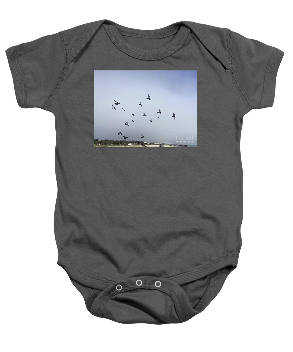 Pigeons Baby Onesie featuring the photograph Pigeons at the Beach by Catherine Wilson