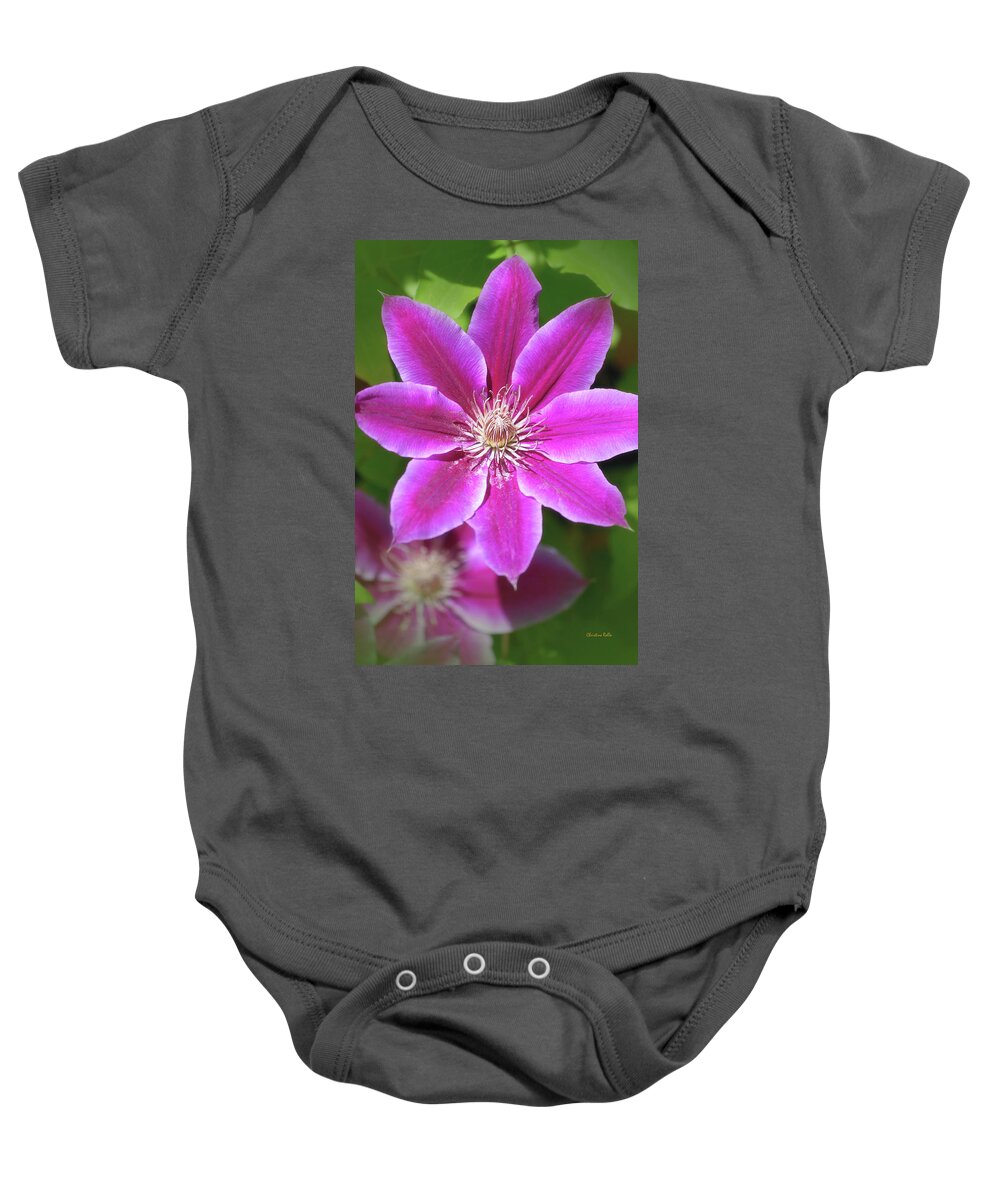 Flowers Baby Onesie featuring the photograph Pink Clematis Flower by Christina Rollo