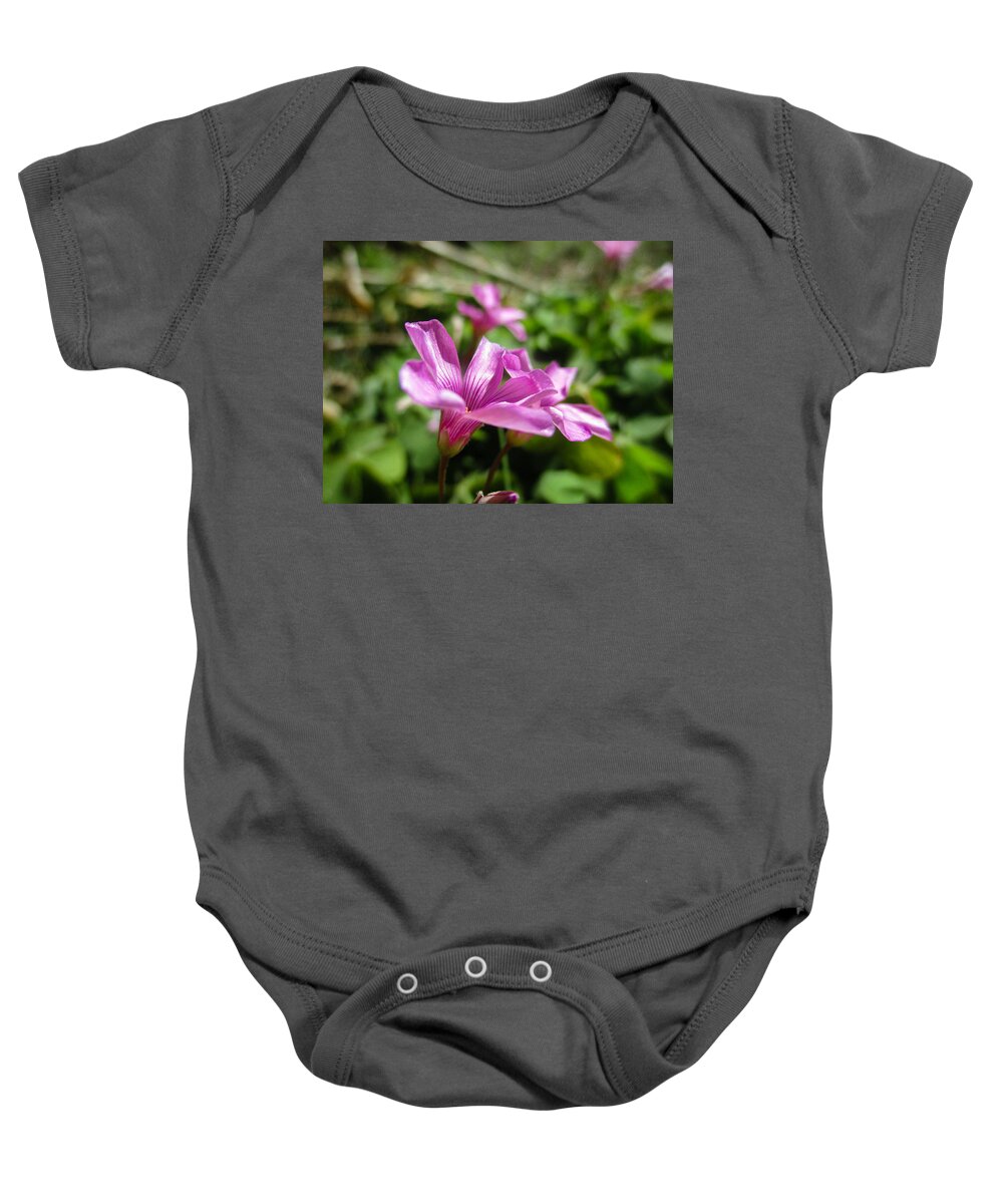 Pink Baby Onesie featuring the photograph Pink Sorrel by W Craig Photography