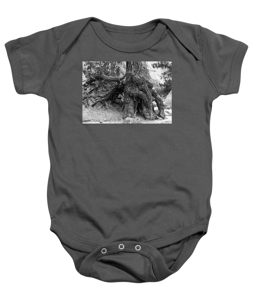 Tent Rocks Baby Onesie featuring the photograph Ponderosa Pine Roots - Kasha-Katuwe Tent Rocks by Steven Ralser