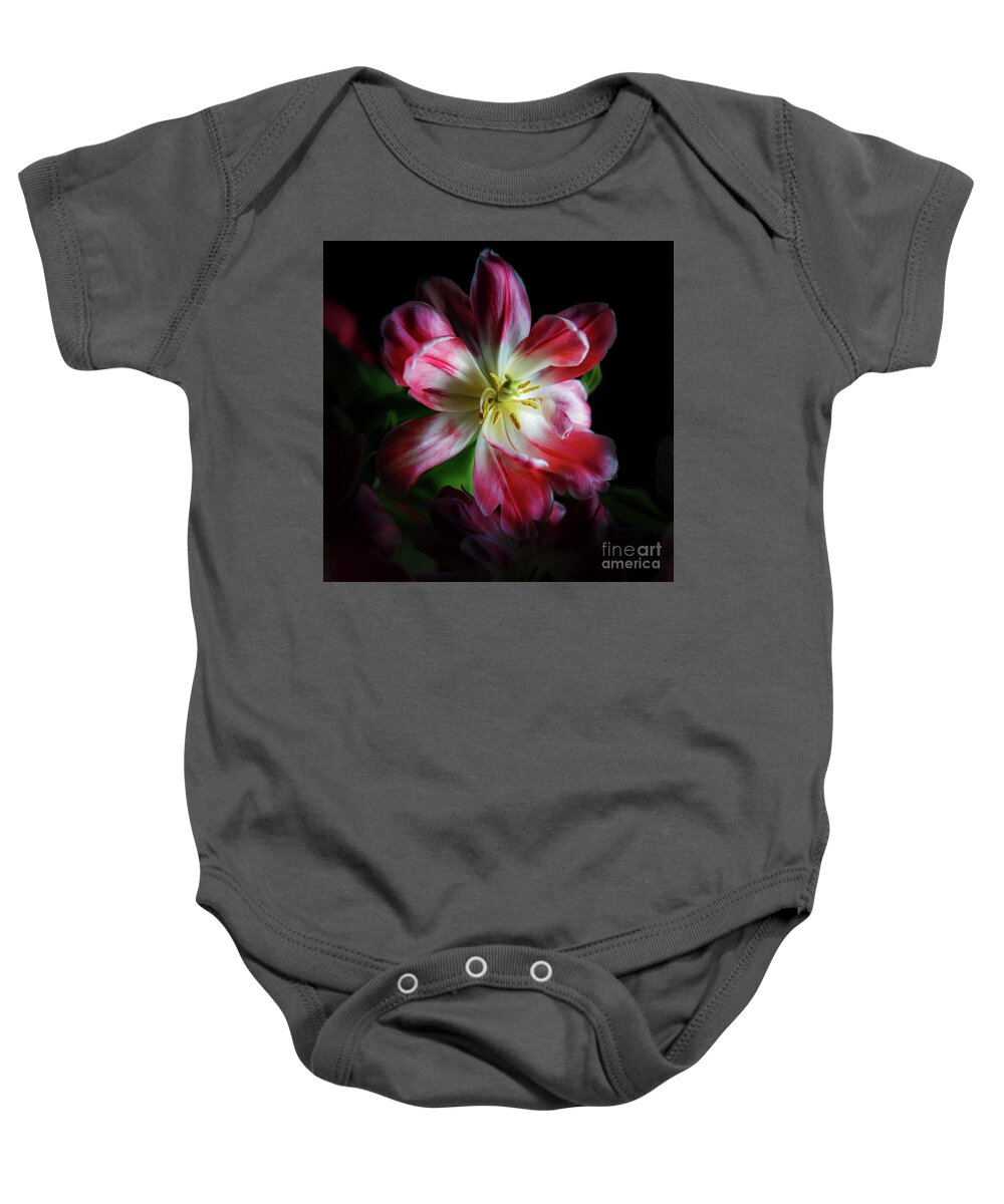 Variegated Tulips Baby Onesie featuring the photograph Portrait of a Tulip by Neala McCarten
