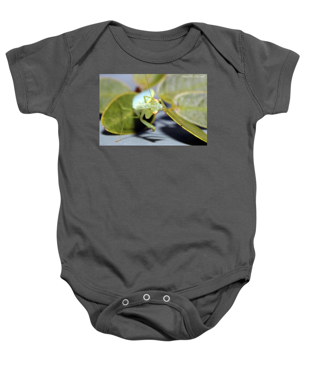Praying Mantis Baby Onesie featuring the digital art Praymantis 71 by Kevin Chippindall